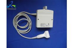 China Siemens VF13-5 Ultrasound Transducer Probe For Superficial supplier