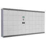Intelligent Parcel Delivery Lockers with Industrial PC , SMS Input Password Click and Collect Lockers for sale