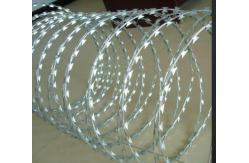 China Razor Barbed Wire Anti Climb Wall Spikes Hot Dipped Metal BTO-22 supplier