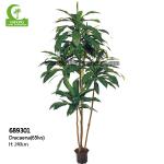 Imitation Bonsai High Quality Artificial Dracaena With Real Touch Leaves For Hot Sale for sale