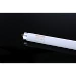 Cool White 60cm Long Fluorescent Tubes Lamp Energy Saving With American Standard for sale
