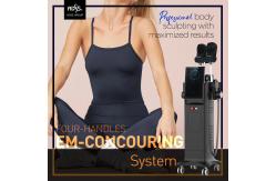 China 4 Handles EM Slim Machine Body Sculpting Emslim Neo RF Machine supplier