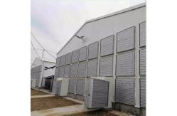 China OEM Standard Poultry House Steel Structure With Sliding Windows supplier
