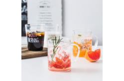China 450ml Single Wall Glass Coffee Cup With Handle Simple Design Heat Proof supplier