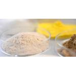 Cellulase Type Multi Enzyme Pectin Degradation and Polysaccharide Matrix Dissolution for sale
