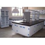 Polypropylene School Science Laboratory Furniture Floor Mounted With DTC Hinge for sale