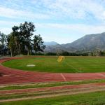 13mm PU Glue Mix SBR Rubber Particle Running Track Surface Eco-Friendly