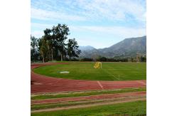 China 13mm PU Glue Mix SBR Rubber Particle Running Track Surface Eco-Friendly supplier