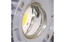 China IP66 LED Explosion Proof Lights 20W Maintenance free supplier