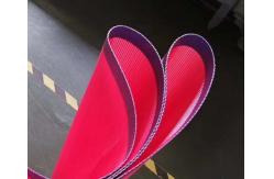 China Polyester Screen Mesh Belt supplier