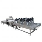400-600kg Fruit Vegetable Processing Machine Automatic  Fruit Drying And Sorting for sale