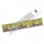 Cute Fancy Printing 3D Lenticular Ruler Plastic Flexible Ruler Customized Shape