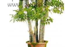 China Green Fishtail Palm 350cm Height Artificial Foliage Tree Large Size supplier