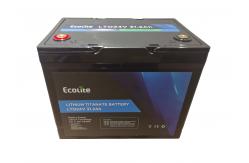 China Ecolite Long Cycle Life＞10000 24V 31.2Ah Lithium Titanate LTO Battery Pack supplier