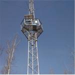 MVNO Tapered Tubular Monopole Telecommunications Tower for sale