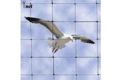 China 2 Bird Proof Net Rot Proof / Waterproof Pigeon Control Anti Bird Net supplier
