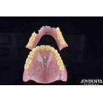 High Elasticity Flexible False Teeth Finished For Personalized Customizations for sale