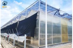 China Custom Polycarbonate Greenhouses For Organic Farming And Commercial Use supplier