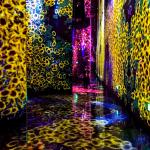 Multiple Channels Immersive Room Projector Immersive Wall Interactive Projection
