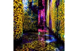 China Multiple Channels Immersive Room Projector Immersive Wall Interactive Projection supplier