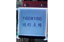 China Transflecitve Positive Monochrome LCD Display 300cd/M2 6 O'Clock supplier