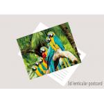 Promotion Cartoon 3D Lenticular Postcard / Flip Lenticular Image Printing for sale