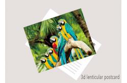 China Promotion Cartoon 3D Lenticular Postcard / Flip Lenticular Image Printing supplier