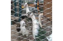 China Aviary Wire Netting Flexible Wire Rope Cable Mesh For Zoo Enclosure supplier