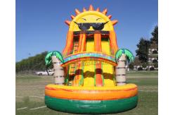 China Sunshine Inflatable Water Slide Blow Up Bounce For Backyard supplier