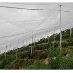 3m Width  Anti Insect Netting 50 Mesh For Vegetable Greenhouse