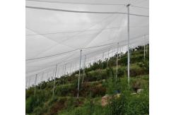 China 3m Width  Anti Insect Netting 50 Mesh For Vegetable Greenhouse supplier