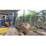 vertical band sawmill with CNC carriage automatic wheel wood cutting saw machine