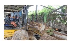 China MJ3212B Big Vertical Band Saw With CNC Log Carriage Band Sawing Machine supplier