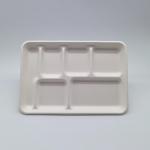 6 Compartment Disposable Plates Biodegradable Divided Rectangle Tray for sale