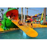 Fiberglass Water Park Splash Pad Frog Small Swimming Pool Slide For Children for sale