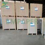 Recyclable 230 250 GSM Coated White Claycoat Duplex Paper Roll for sale