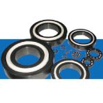 Customizable Industrial Ceramic Parts Ceramic Bearings for sale
