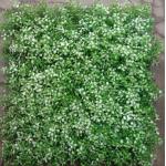 UV Resistance Low Maintenance Artificial Wall Grass For Beautiful Comfortable Living Spaces With Square Shape for sale
