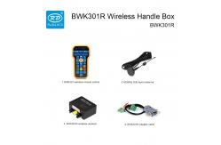 China RUIDA BWK301R Wireless Handle Box For Control The Cutting Machine supplier