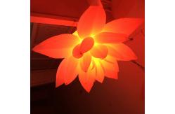 China Customized Inflatable LED Light Advertising Giant Inflatable Flowers supplier