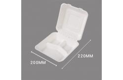 China 3 Compartment Sugarcane Bagasse Lunch Box Clamshell Containers For Camping Picnic supplier