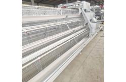 China Full Automatic Hot Galvanized Layer Chicken Cage supplier