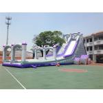 Big 12 People Tarpaulin 0.55mm Commercial Inflatable Water Slides for sale