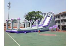 China Big 12 People Tarpaulin 0.55mm Commercial Inflatable Water Slides supplier