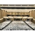 2/2/0.5mm Diffuser Auditorium Microperforated Wooden Sound Absorbing Wall Acoustic Panels for sale
