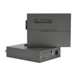 PoE Media Converter Fast Ethernet Singlemode Fiber 30W Budget Unmanaged DC48V Input