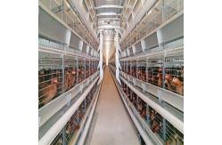 China Durable Large Battery Chicken Cage Easy To Clean Layer Galvanized Steel supplier