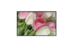 China 32 Inch Lcd Display Panel Sunlight Readable Outdoor Display Large supplier