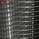 6ft Width Electric Fusion Hot Dipped Galvanized Wire Mesh 19 X19x1.6mm Dia