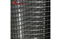 China 6ft Width Electric Fusion Hot Dipped Galvanized Wire Mesh 19 X19x1.6mm Dia supplier